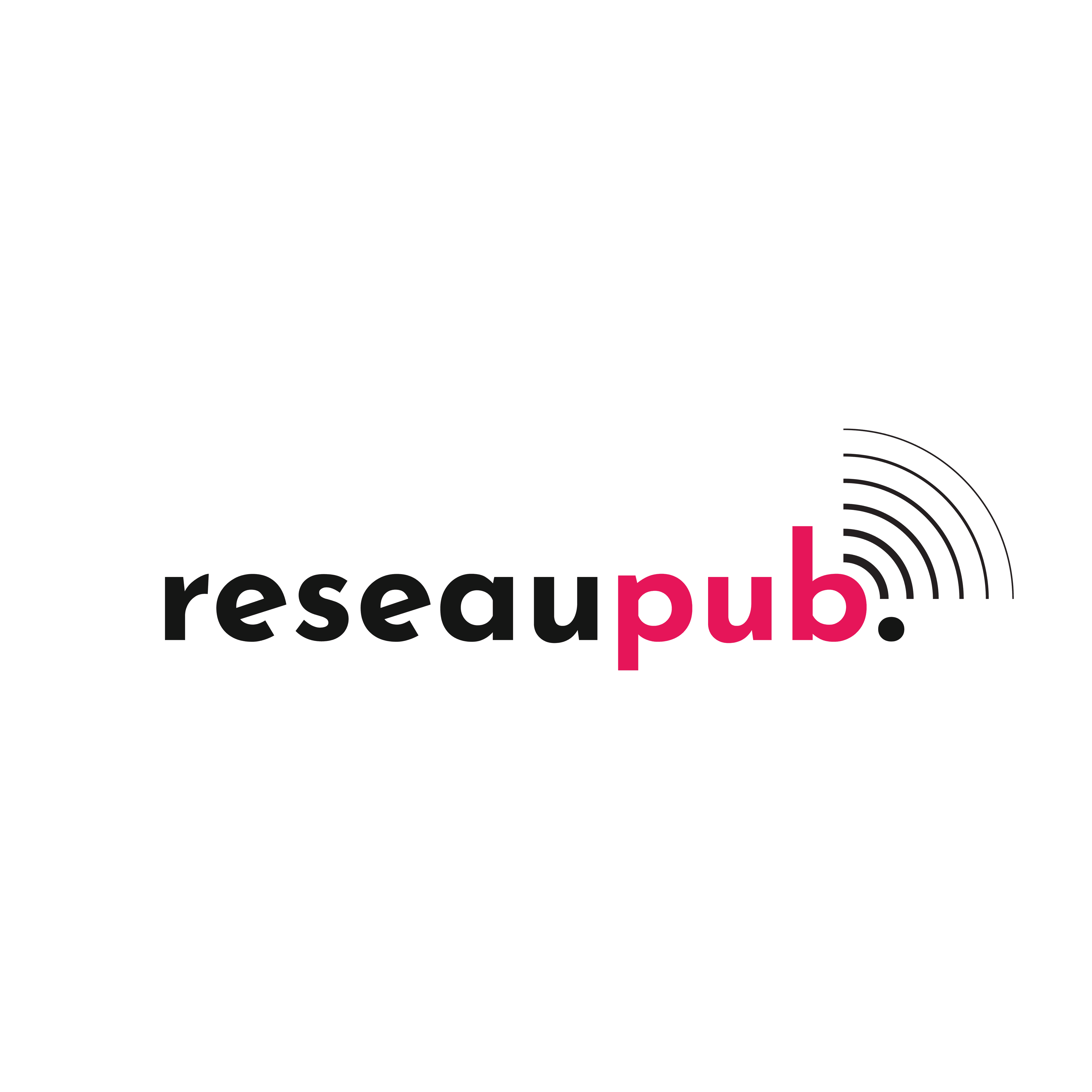 Logo RESEAUPUB